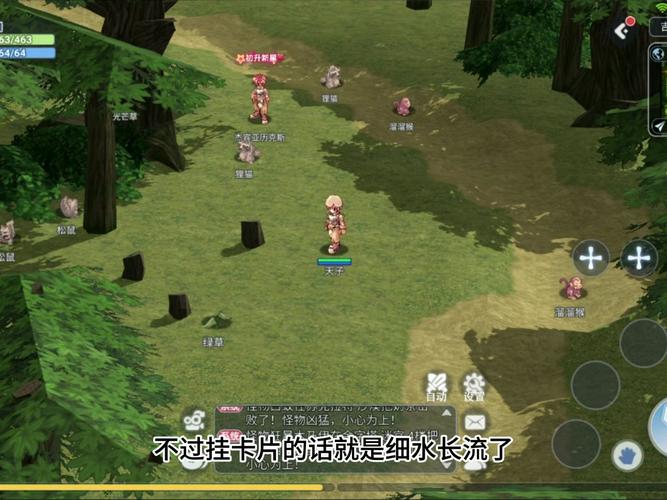 仙境传说RO手游新篇章:猫猫佣兵团重磅来袭,武僧猫阿宝闪耀登场