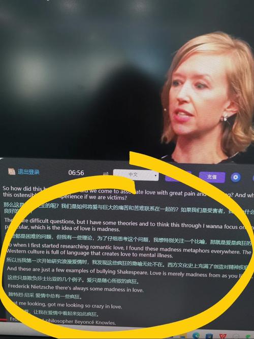 Zoom 人马 OKZOOM 功能介绍:在线会议的最佳选择