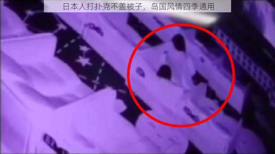 日本人打扑克不盖被子,岛国风情四季通用