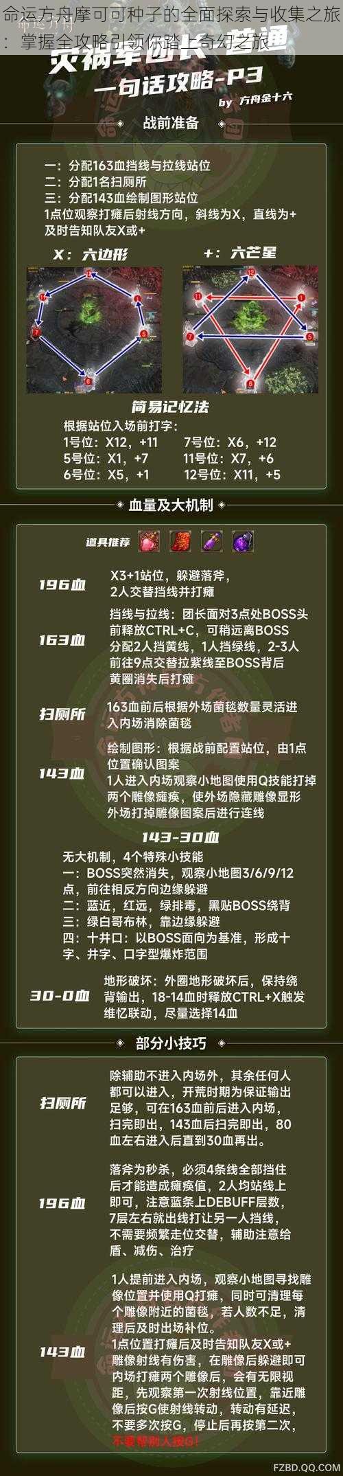 命运方舟摩可可种子的全面探索与收集之旅:掌握全攻略引领你踏上奇幻之旅