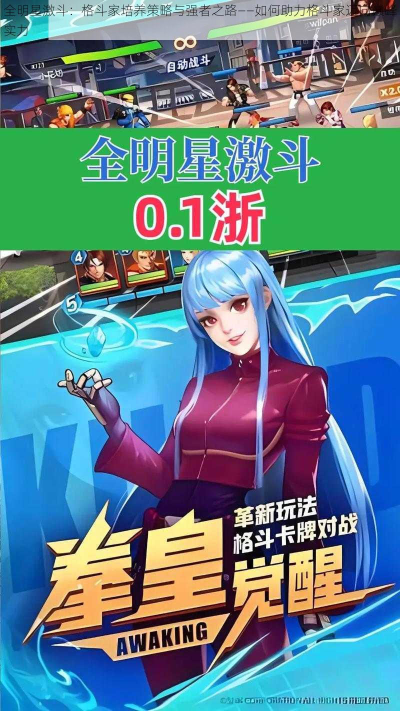 全明星激斗:格斗家培养策略与强者之路——如何助力格斗家迈向巅峰实力