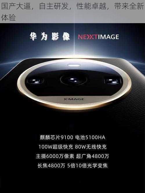国产大逼,自主研发,性能卓越,带来全新体验