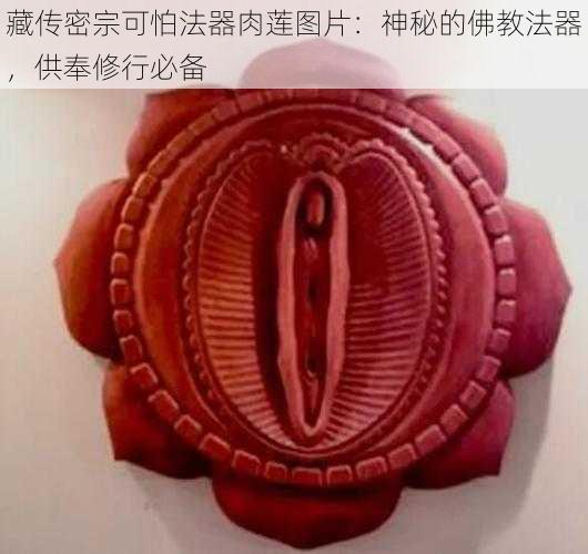 藏传密宗可怕法器肉莲图片:神秘的佛教法器,供奉修行必备