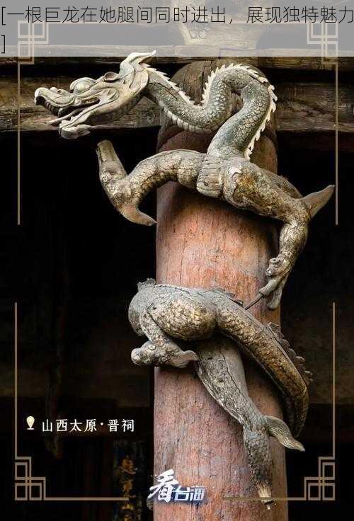[一根巨龙在她腿间同时进出，展现独特魅力]