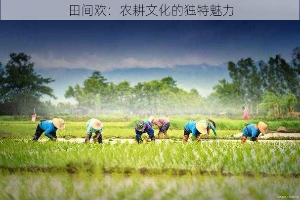 田间欢:农耕文化的独特魅力