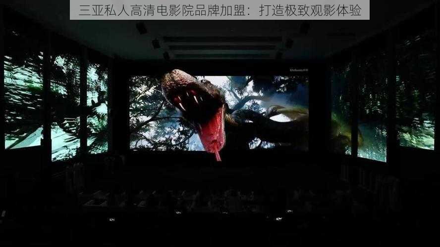 三亚私人高清电影院品牌加盟:打造极致观影体验