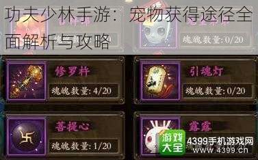 功夫少林手游:宠物获得途径全面解析与攻略