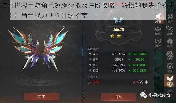 传奇世界手游角色翅膀获取及进阶攻略:解锁翅膀进阶秘术,提升角色战力飞跃升级指南