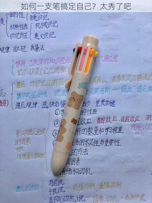 如何一支笔搞定自己?太秀了吧