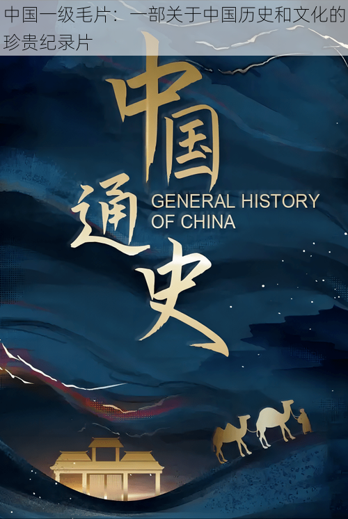 中国一级毛片:一部关于中国历史和文化的珍贵纪录片