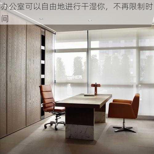 办公室可以自由地进行干湿你,不再限制时间