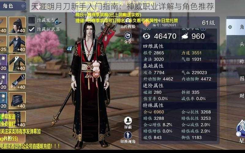 天涯明月刀新手入门指南:神威职业详解与角色推荐