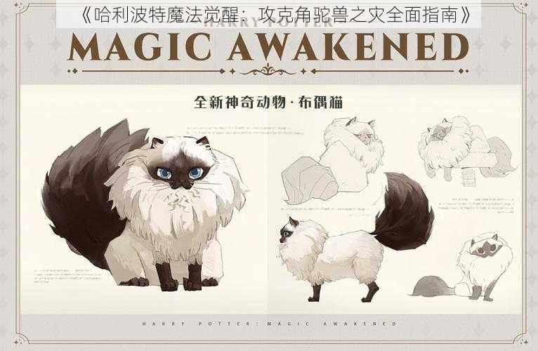 《哈利波特魔法觉醒:攻克角驼兽之灾全面指南》
