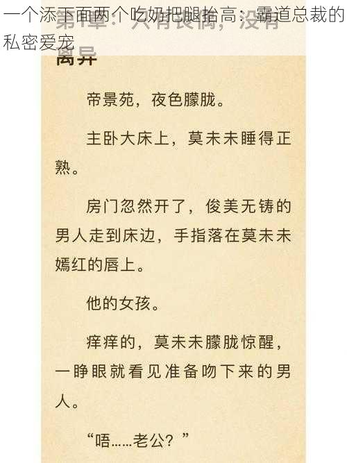 一个添下面两个吃奶把腿抬高:霸道总裁的私密爱宠