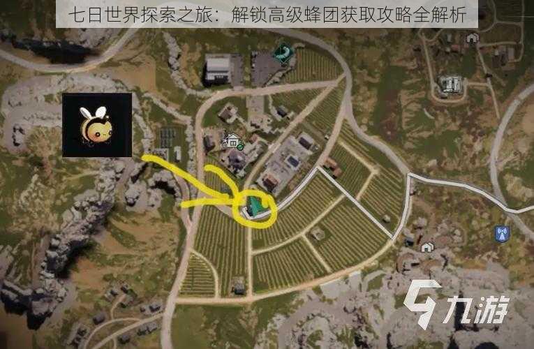 七日世界探索之旅:解锁高级蜂团获取攻略全解析