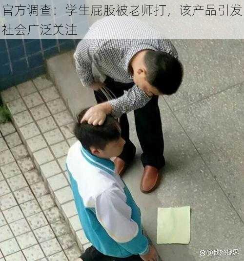 官方调查:学生屁股被老师打,该产品引发社会广泛关注