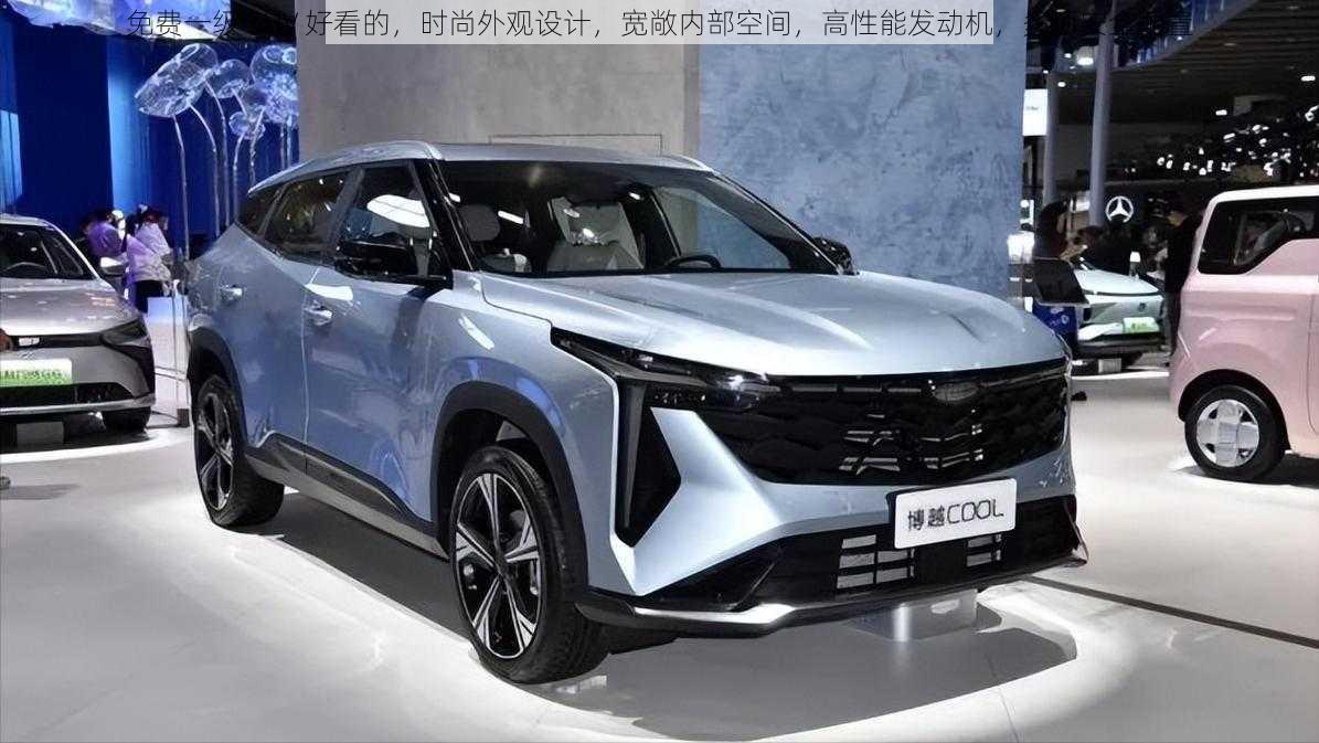 免费一级 SUV 好看的,时尚外观设计,宽敞内部空间,高性能发动机,多项安全配置