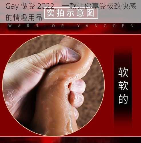 Gay 做受 2022,一款让你享受极致快感的情趣用品