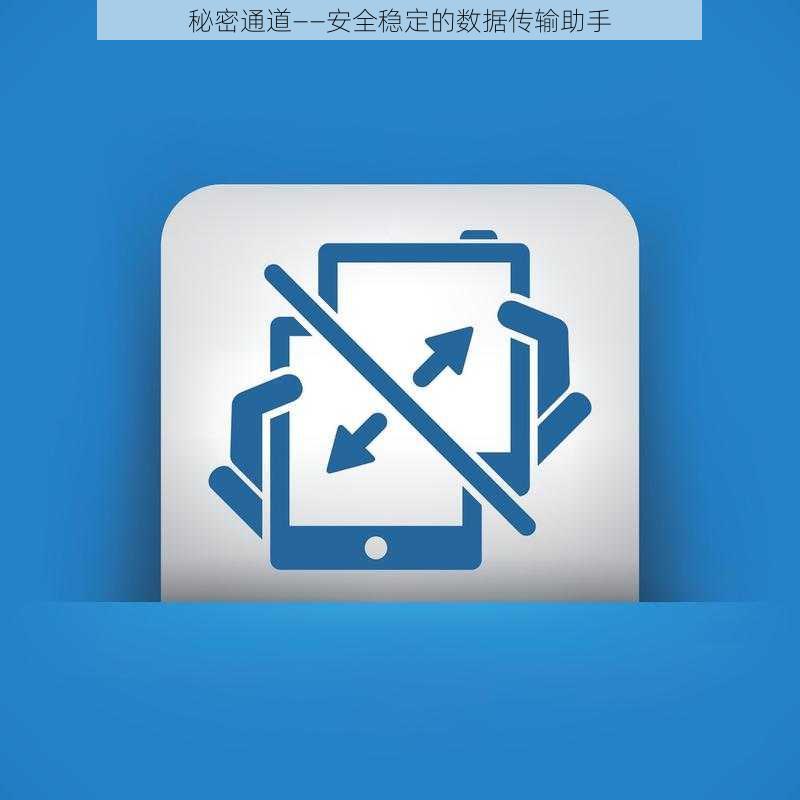 秘密通道——安全稳定的数据传输助手