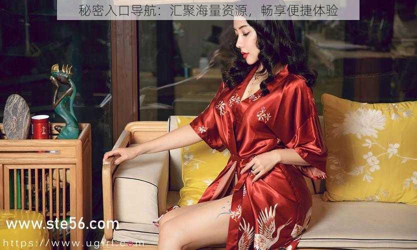 秘密入口导航:汇聚海量资源,畅享便捷体验