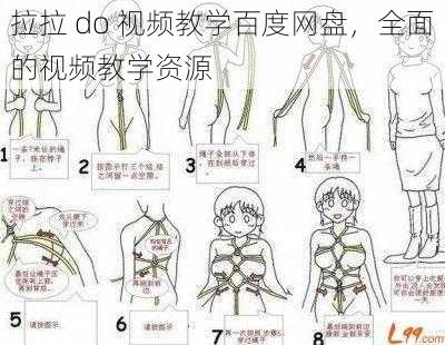 拉拉 do 视频教学百度网盘,全面的视频教学资源