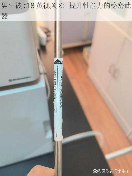 男生被 c18 黄视频 X:提升性能力的秘密武器