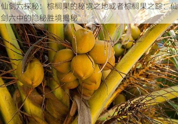 仙剑六探秘:棕榈果的秘境之地或者棕榈果之踪:仙剑六中的隐秘胜境揭秘