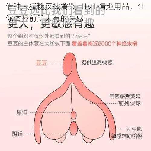 借种太猛糙汉被禽哭 H1v1 情趣用品,让你体验前所未有的快感