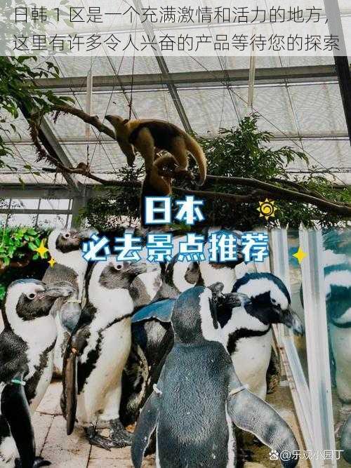 日韩 1 区是一个充满激情和活力的地方,这里有许多令人兴奋的产品等待您的探索