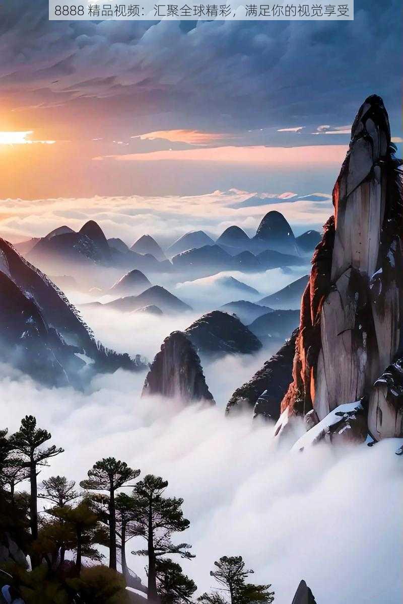 8888 精品视频:汇聚全球精彩,满足你的视觉享受
