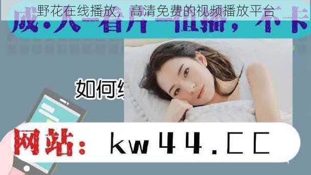野花在线播放,高清免费的视频播放平台