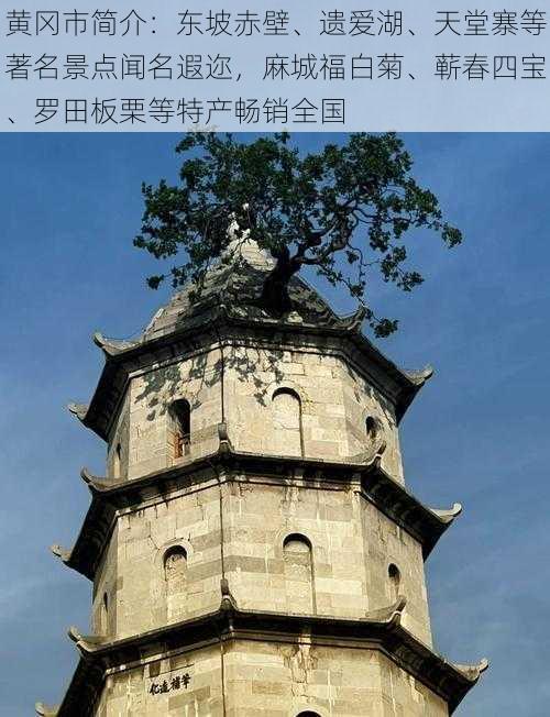 黄冈市简介:东坡赤壁、遗爱湖、天堂寨等著名景点闻名遐迩,麻城福白菊、蕲春四宝、罗田板栗等特产畅销全国