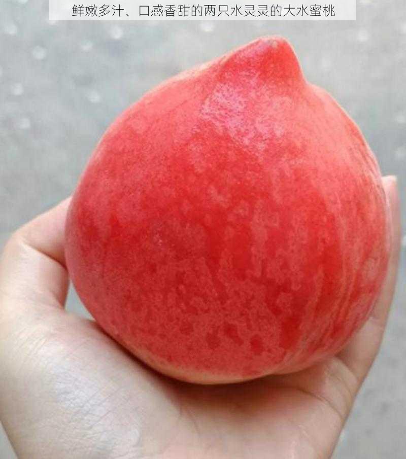 鲜嫩多汁、口感香甜的两只水灵灵的大水蜜桃