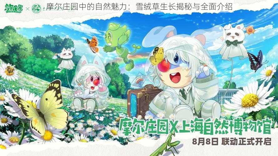 摩尔庄园中的自然魅力:雪绒草生长揭秘与全面介绍
