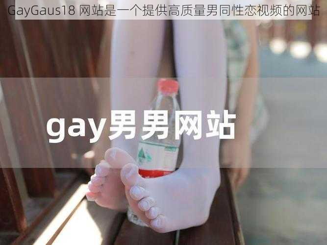 GayGaus18 网站是一个提供高质量男同性恋视频的网站