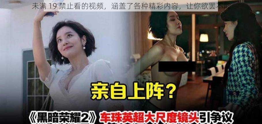 未满 19 禁止看的视频,涵盖了各种精彩内容,让你欲罢不能