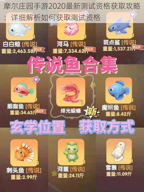 摩尔庄园手游2020最新测试资格获取攻略:详细解析如何获取测试资格