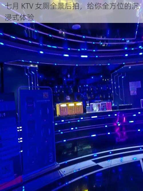 七月 KTV 女厕全景后拍,给你全方位的沉浸式体验