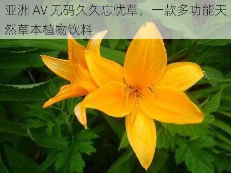 亚洲 AV 无码久久忘忧草,一款多功能天然草本植物饮料