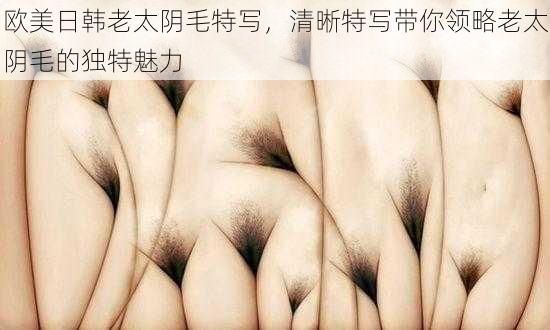 欧美日韩老太阴毛特写,清晰特写带你领略老太阴毛的独特魅力