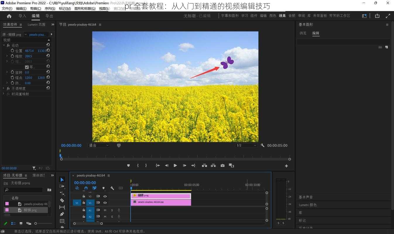 pr 全套教程:从入门到精通的视频编辑技巧