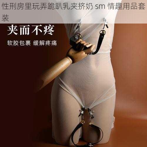 性刑房里玩弄跪趴乳夹挤奶 sm 情趣用品套装