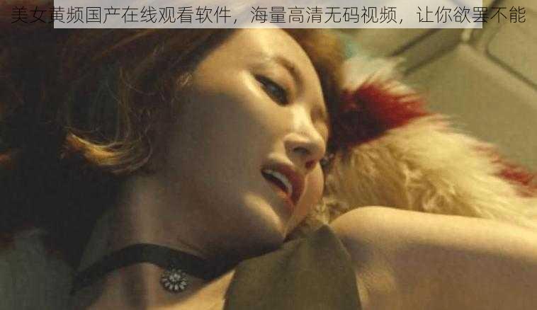 美女黄频国产在线观看软件,海量高清无码视频,让你欲罢不能