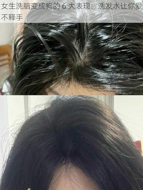 女生洗脑变成狗的 6 大表现:洗发水让你爱不释手