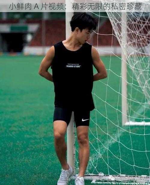 小鲜肉 A 片视频:精彩无限的私密珍藏