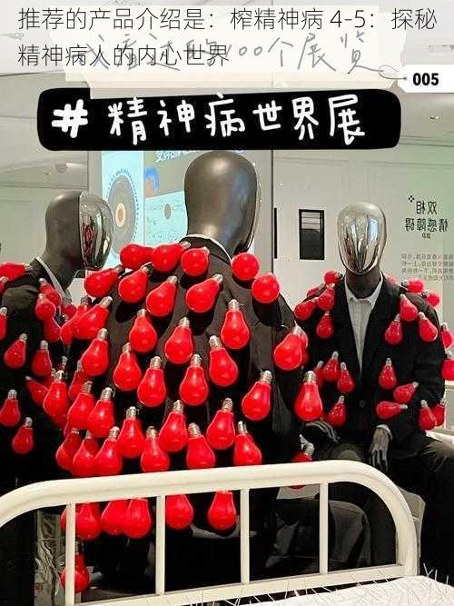 推荐的产品介绍是:榨精神病 4-5:探秘精神病人的内心世界