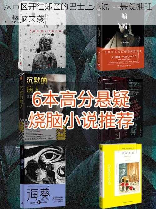 从市区开往郊区的巴士上小说——悬疑推理,烧脑来袭