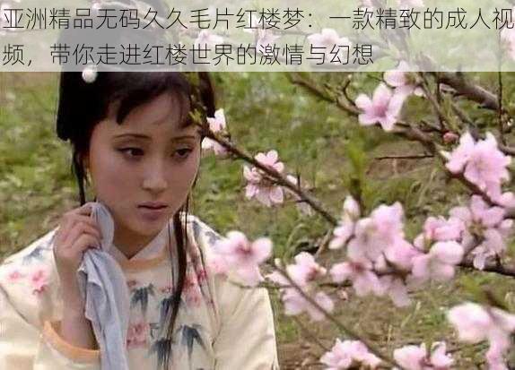 亚洲精品无码久久毛片红楼梦:一款精致的成人视频,带你走进红楼世界的激情与幻想