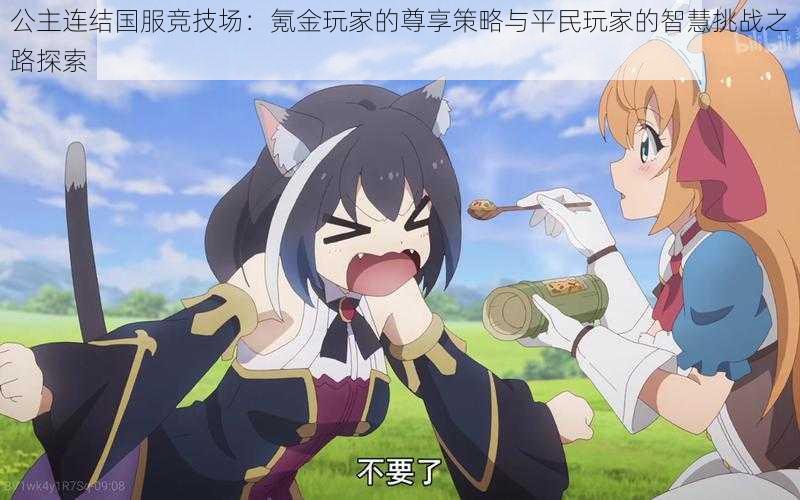 公主连结国服竞技场:氪金玩家的尊享策略与平民玩家的智慧挑战之路探索