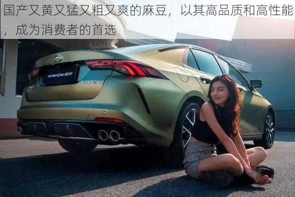 国产又黄又猛又粗又爽的麻豆,以其高品质和高性能,成为消费者的首选